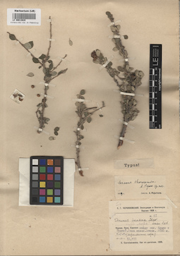 LE 00013629
