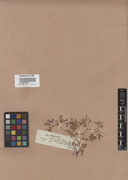 LE 00013633