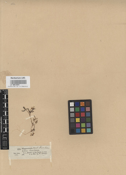 LE 00013634