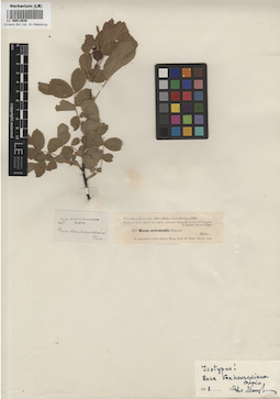 LE 00013639