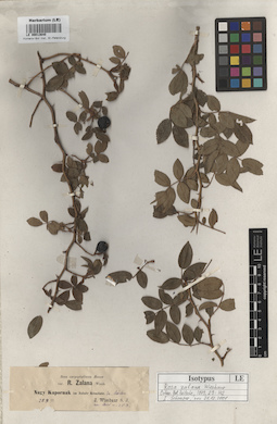 LE 00013640