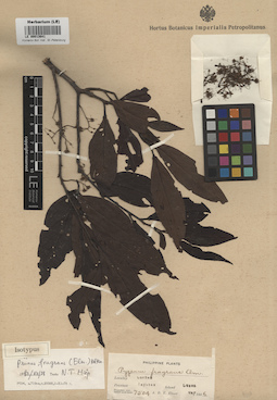 LE 00013641