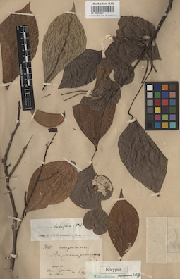 LE 00013674