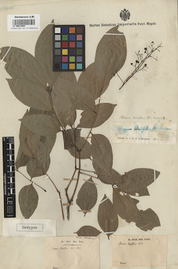 LE 00013684