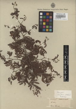 LE 00013686