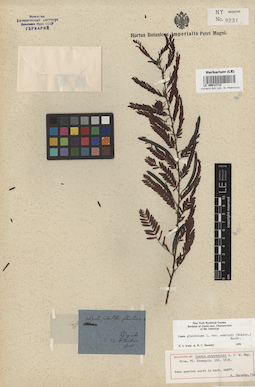 LE 00013712