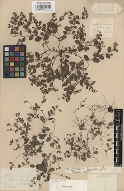 LE 00013750