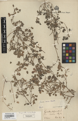 LE 00013769