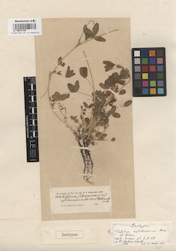 LE 00013782