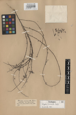 LE 00013800