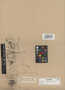 LE 00013801