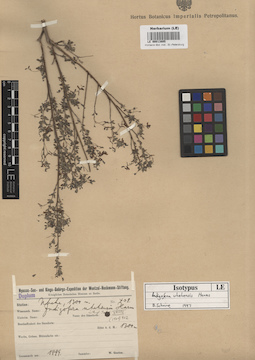 LE 00013805