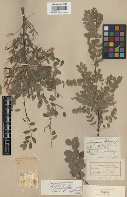 LE 00013841
