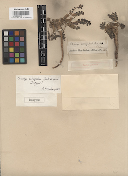 LE 00013843