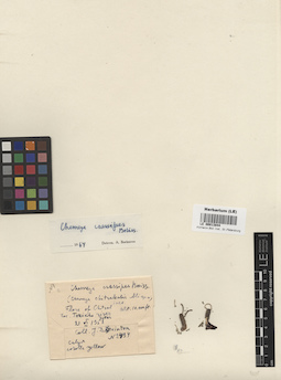 LE 00013844
