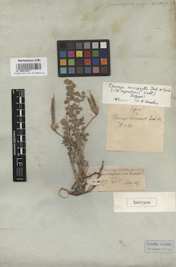 LE 00013847