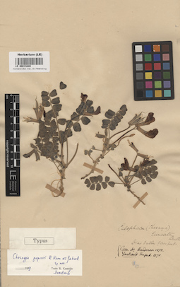 LE 00013849