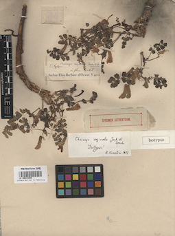 LE 00013850