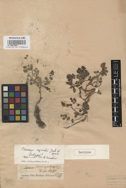 LE 00013851