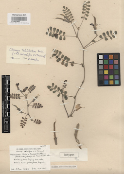 LE 00013852