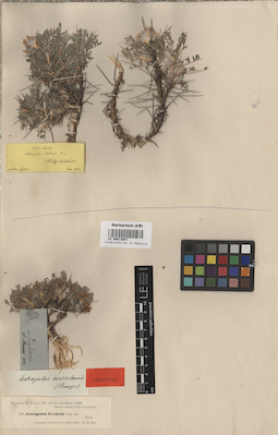 LE 00013857