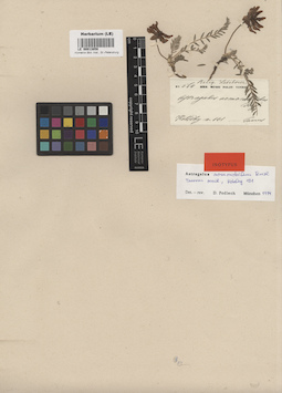 LE 00013858