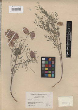 LE 00013862