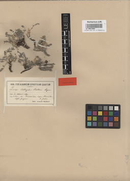 LE 00013882