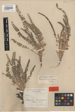 LE 00013883