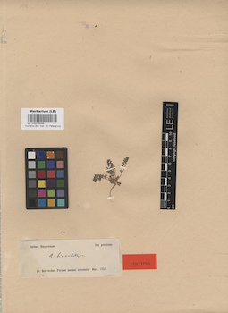 LE 00013888