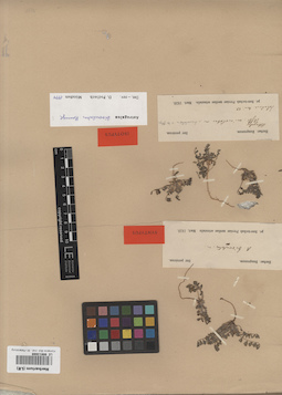 LE 00013889