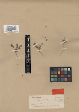 LE 00013890