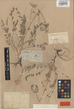 LE 00013891