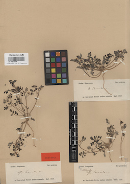 LE 00013936