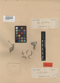LE 00014011