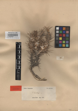 LE 00014018