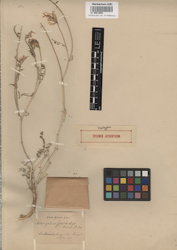 LE 00014082