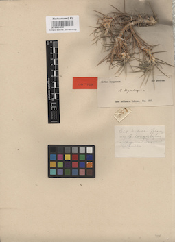 LE 00014090