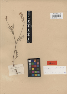 LE 00014156