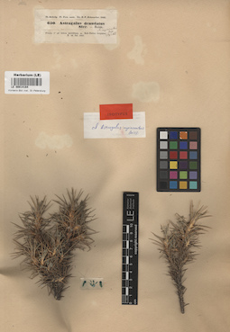 LE 00014164