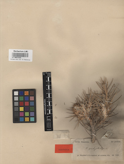 LE 00014183