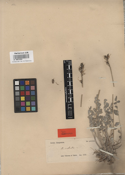 LE 00014252