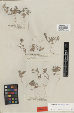 LE 00014263