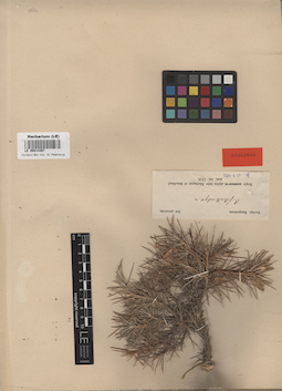 LE 00014267
