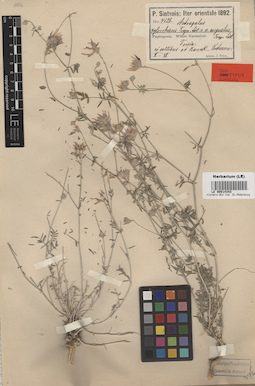 LE 00014343