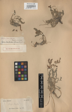 LE 00014350