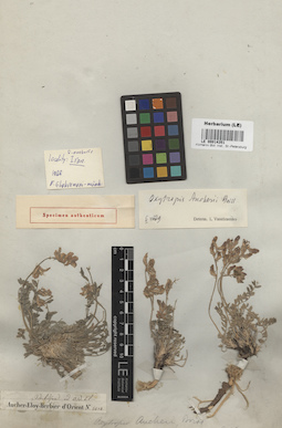 LE 00014351