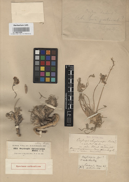 LE 00014355