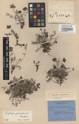 LE 00014359