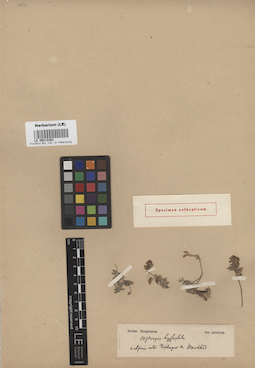LE 00014363